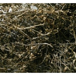 MURAH DAUN  RUMPUT MUTIARA KERING TERMURAH 250 GRAM