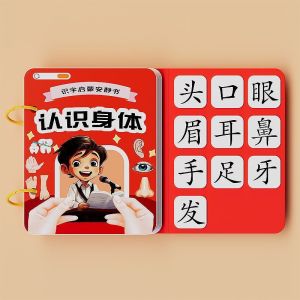 幼儿识字安静书 学前识字早教启蒙粘贴书安静书 魔术贴认知卡片八大主题全套益智玩具 幼兒園 认字练习 Chinese Literacy Quiet Book