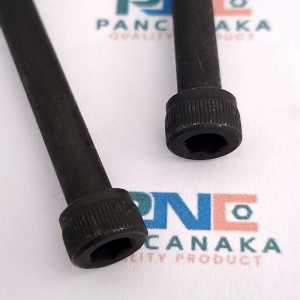 BAUT NOKEN AS TIGER L6X120MM - 1 PCS