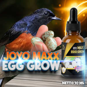 VITAMIN MEMPERBANYAK PRODUKSI TELUR | MENINGKATKAN PRODUKSI TELUR | MAXX EGG GROW 10 ML
