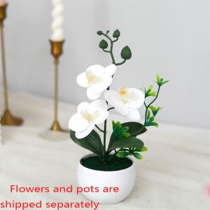 With Pot Plastic Butterfly Orchid Bonsai Simulated Flower Desktop Decoration Office Light Green Plant Decoration Waterless Artificial Flowers