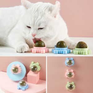Cat Mint Crab Toy: Enhancing Kitten Dental Health with Interactive Flavor Treats