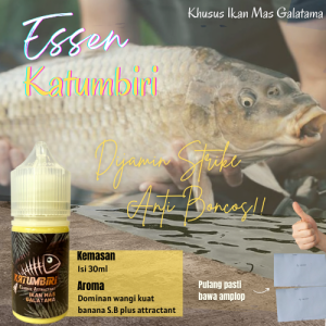 Essen Katumbiri khusus ikan mas Lomba Galatama Babon Paling Gacor Bebas Media Umpan Kemasan 30ml Trabas Segala Medan
