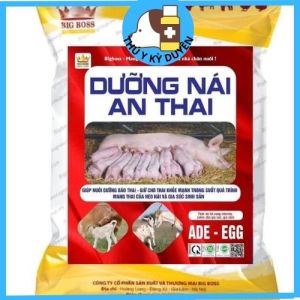 DƯỠNG NÁI AN THAI (Hàng chuẩn)