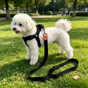OUTOPEN Nylon Dog Car Safety Belt Retractable Adjustable Car Traction Ropes Pet Supplies Durable Pet Car Chest Harness Travel