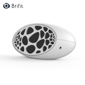 Brifit Bluetooth Speaker Subwoofer Audio 5.0 Bluetooth / U Disk / Aux Three Play Modes 45W High Power Speaker Support 3.5mm Audio Input