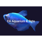 9lofish Neon skirt tetra fish can choose colour 彩裙可选颜色 fast order b4 QC creatively unreasonable reject again!!!