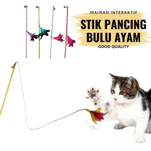 Mainan Interaktif Kucing & ANjing Stik Pancing Bulu Ayam