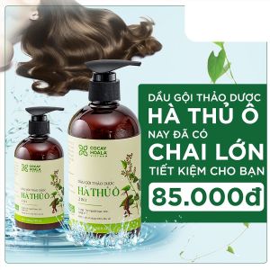 Dầu Gội Hà Thủ Ô COCAYHOALA - Giúp Căn Bằng Sắc Tố Melanin Ngăn ngừa rụng tóc phục hồi tóc