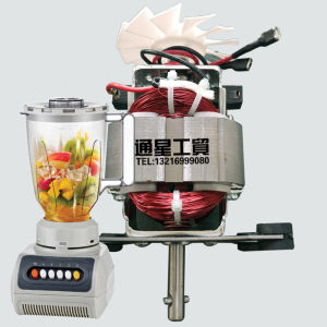 Manufacturer Home Cooking Machine Stirring Motor 7630 Series Aluminum Steel Commercial Small Cytoderm Breaking Machine Motor 7020