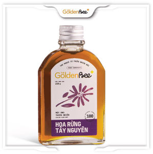 Mật ong hoa rừng Tây Nguyên The Golden Bee 500g mật ong nguyên chất
