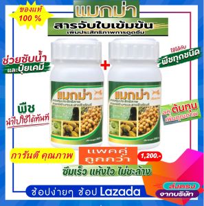 สารจับใบแมกม่า(ชุดมินิ 2ขวดเล็ก) บรรจุ ขวดละ 250 cc. สารเสริมประสิทธิภาพสูงจับใบพืชรวดเร็วสูตรเข้มข้น ของแท้100% จากศูยน์หน่ายจำหน่าย