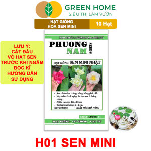Mua 5 tặng 1 - Hạt Giống Hoa Sen Mini GreenHome Gói 10 Hạt Nhiều Màu Dễ Trồng Dễ Chăm Nảy Mầm Tốt H01