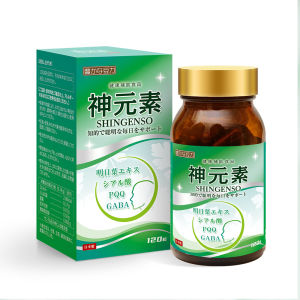 SHINGENSO Brain & Daily Wellness Support | Ashitaba GABA PQQ & Ergothioneine | 120 Capsules | 60-Day Supply | Made in Japan