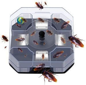 HOMEBEST 1pc Cockroach Catcher Trap Cockroach Killer Cockroach Bait Box Black Transparent Reuseable Cockroach Trap Box Non-Toxic Insert Killer Catcher Perangkap Penangkap Kecoa Lipas Kotak Umpan Kecoa Lipas Tangki 蟑螂捕食器诱饵盒 FZ1-0017