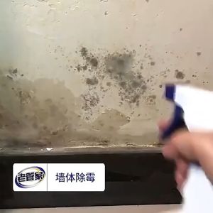 Mold Remover Spray  Anti Mold Spray Wall Mold Remover Wall Cleaner LAOGUANJIA 500ML 除霉 除黴劑