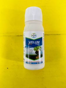 Nematisida VELUM PRIME 400SC dari BAYER