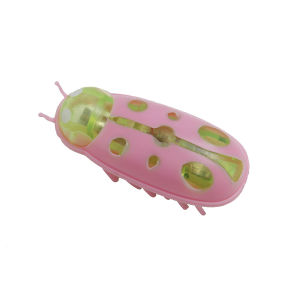 Pet Interactive Electric Bug Cat Toy Escape Obstacle Automatic Flip Electric Toothbrush Beetle Fun Toys