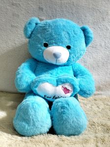 Dreamtoys96 Boneka Binatang Beruang Love Bear Love For Fairies Rassel L