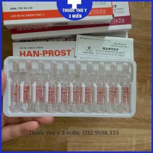Th.uố.c Thú Y HAN-PROST Tan Thể Vàng Gây Động D.ục Cho Đ.ẻ Sớm Hàng Chuẩn Công Ty HANVET