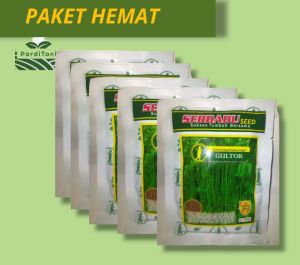 PAKET HEMAT 5 BUNGKUS BENIH KACANG PANJANG GULTOR TAHAN VIRUS KUNING 100GR