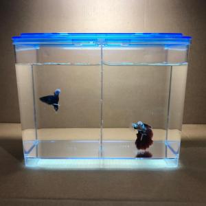 AKUARIUM IKAN LAGA 2 DALAM 1/BERGANDA