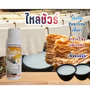 ไหลชัวร์ (1ขวด) ยาทาหน้ายาง สูตร 5 ขนาด 500 ซีซี ใช้กับยางเปิดกรีด 5-10 ปี