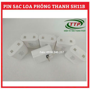 [HCM]Pin sạc dự phòng dùng cho loa phóng thanh cầm tay rao hàng - Pin loa phóng thanh cầm tay