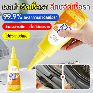 ครัวเรือน ทําความสะอาดห้องน้ำ มัลติเอฟเฟกต์ ห้องครัว จุดด่างดํา น้ำยาทําความสะอาดเชื้อรา ยั่งยืน กําจัดโรคราน้ำค้าง/เจลกำจัดเชื้อราชนิดใหม่ กำจัดเชื้อราในห้องน้ำ ห้องครัว ทำความสะอาดคราบเชื้อราในครัวเรือน