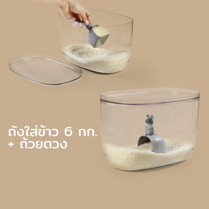 Lucky Mouse Rice container & Scoop 7L กล่อง/ถังใส่ข้าวสาร พร้อมถ้วยตวง ดีไซน์ หนูน้อย Qualy (ควอลี่)