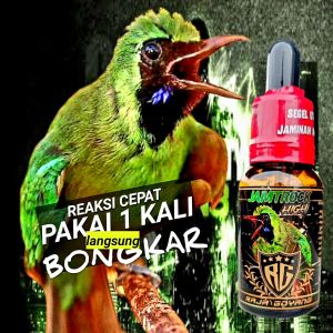 HIGH JAMTROCK RG/Vitamin burung Cucak Ijo/lebih cepat ngetrok bongkar/Jamu Burung/BAYAR DITEMPAT