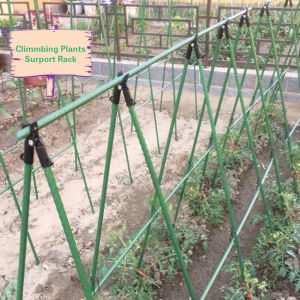 Durable Climbing Plants Vine Rack Flower Gardening Tools Vegetables Trellis Plant Support Climbing Plants Stand For Sale Potted Plants With Stand - Lazada
