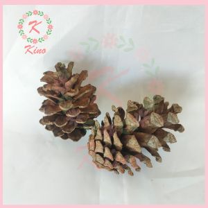 Bunga Pinus Kering/ Bahan florist/ bahan mahar/ buket bunga camilan hamster