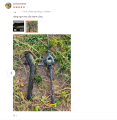 Big Sale cần ngang / CẦN MÁY NGANG FALCHION C802M - câu lure mồi giả cá lóc chẽm. 