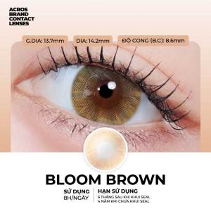 (HOẢ TỐC SG) Kính áp tròng màu Nâu trà BLOOM BROWN ACROS – Lens dùng 6 tháng đeo 8h/ngày