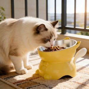 Meilovmao Ceramic Elevated Cat Bowl Slanted Anti Spill Pet Feeder Stainless Steel Water Dish Mangkuk Kucing