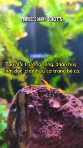Đá Nham Thạch Đỏ Trung Quốc (Hạt To) - Vật Liệu Lọc Hồ Cá Siêu Xốp