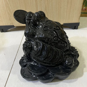 [HCM]Thiềm thừ đá tự nhiên loại to màu đen NẶNG 18 KG ngang 30cm cho người mệnh Mộc và Thủy