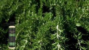 Kerarose Organic Rosemary Hair Growth Shampoo Natural Thickening & Strengthening Shampoo with Hydrolyzed Keratin and natural extract of rosemary (1)