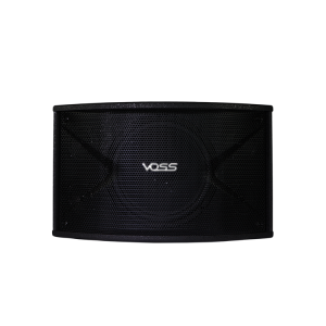 2 pcs VOSS Audio Karaoke Speaker K-10B