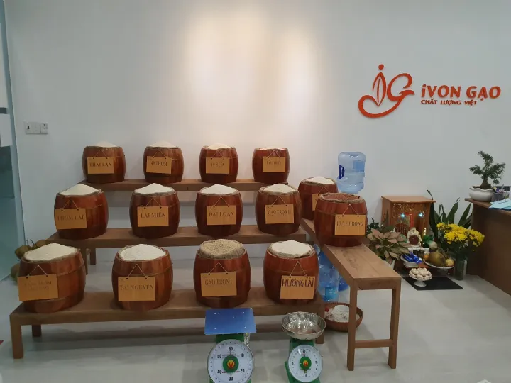 iVON GẠO - ST24 (LOẠI I) (Túi 5kg ) - Dẻo nhiều, hạt dài, thơm nhiều, ngọt cơm