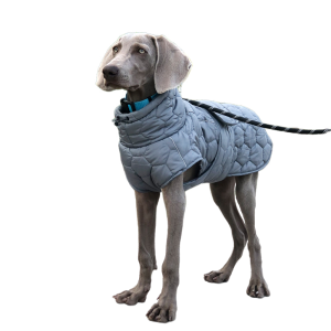 Warm Turtleneck Dog Clothes Winter Thick Reflective Snowsuit Coat Pet Jacket for Large Breed Whippet Greyhound Parka Clothing2026