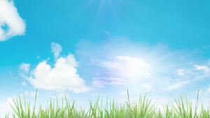 Kaytee Clean & Cozy White Paper Bedding Made for Small Animals 85 Liters