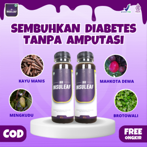 BIO INSULEAF 2 Box Cegah Diabetes Bantu Turunkan Kolesterol Gula Darah Herbal Alami Kencing Manis Asam Urat Gagal Ginjal