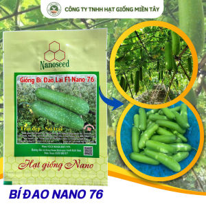 2gr Hạt giống bí Đao lai F1 NANO 76