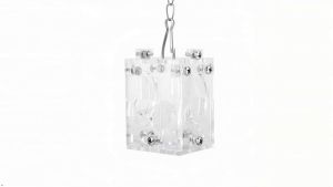 YOUTHINK Creative Hanging Parrot Feeder Toys Acrylic Transparent Bird Food Toys for Anchovies Parakeets Cockatiel Mynah Macaw