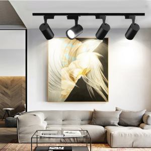 CANMEIJIA LED Track Light Set 12/20/30/40W Spotlight 220V COB Lampu Siling Aluminum Track Rail Lamp For Home Living Room Store Lighting