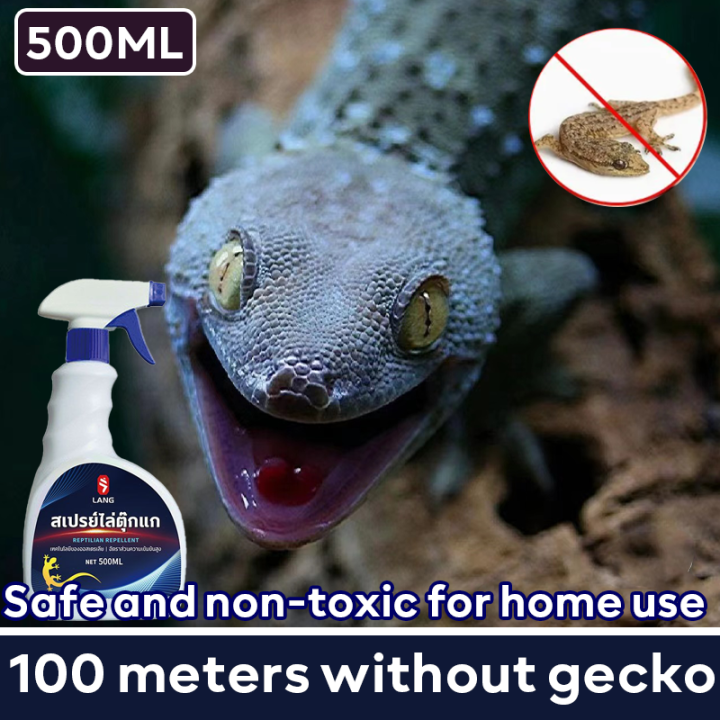 EZ 🦎run if you smell it🦎 lizard repellent prevention and solution gecko