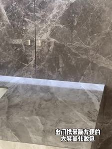 High end toiletry bag makeup bag womens new style large capacity portable travel carrying waterproof cosmetics storage bag