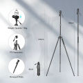 SmallRig 72" Chân máy du lịch nhẹ có thể gập lại Monopod có đầu chất lỏng (Tải tối đa 3kg) Chân khóa núm hợp kim nhôm Chiều cao có thể điều chỉnh từ 43cm đến 188cm để phát trực tiếp Vlogging Máy ảnh Dslr Điện thoại di động 3760. 
